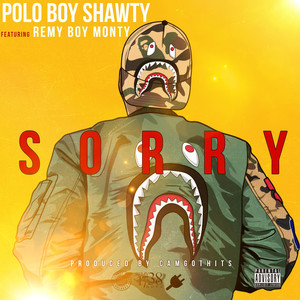 Sorry (feat. RemyBoy Monty) [Explicit]