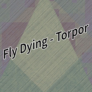 Torpor