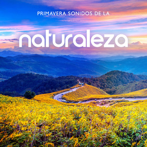 Sonidos de la Naturaleza