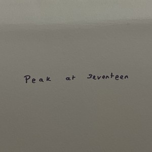 peak at seventeen (demo)