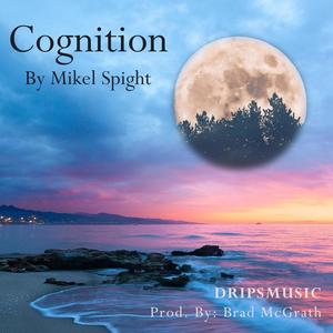 Cognition (Explicit)