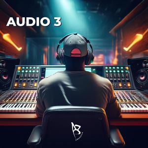 Audio 3