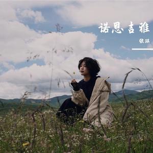 群星-诺恩吉雅 (张琪 remix)