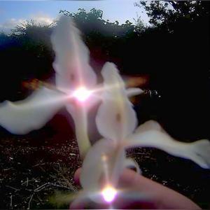 Push start (feat. Leir2luvv) (Explicit)