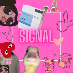Signal