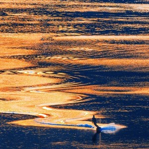 神的随波逐流-沈楠.