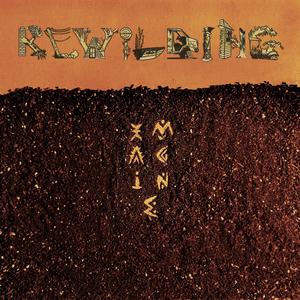 fIRE bLIGHT (Explicit)