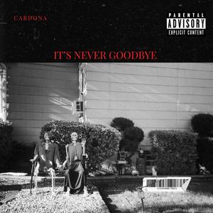 It's Never Goodbye (Explicit)