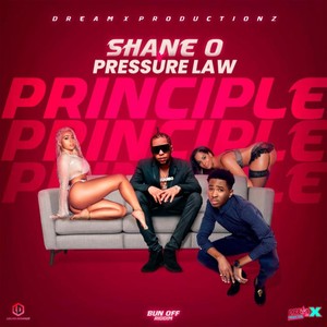 Principle (Explicit)