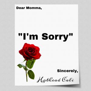 I'm Sorry (Explicit)