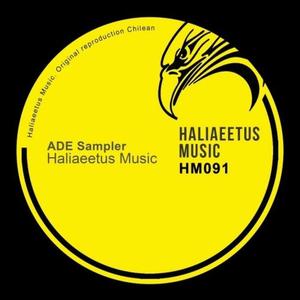 Donald (Original Mix)