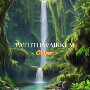 Paththavaikkum (COVER版)