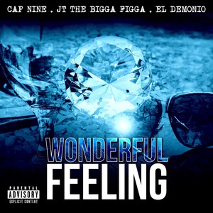 Wonderful Feeling (feat. Jt the Bigga Figga & El Demonio|Explicit)
