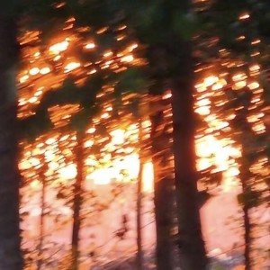 VISIONS (假面骑士zzz)