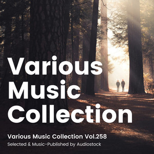 Various Music Collection Vol.258 -Selected & Music-Published by Audiostock-