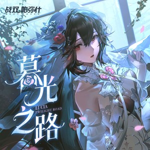 Twilight road 暮光之路封面