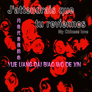 Yue Liang Dai Biao Wo De Xin 月亮代表我的心 (Version Piano Simple)