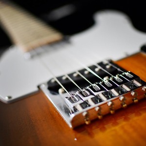 Soothing Pet Guitar Vibes