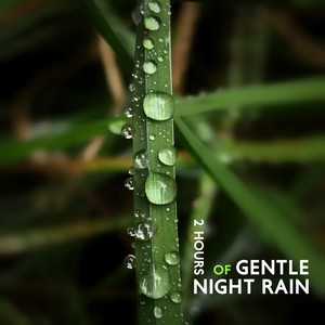 2 Hours of Gentle Night Rain: Relaxing Sounds for Insomnia, Meditation, Study, Spa & Yoga