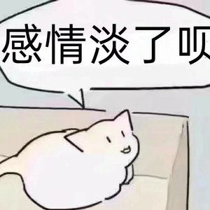 到最后你也没有和我坦白