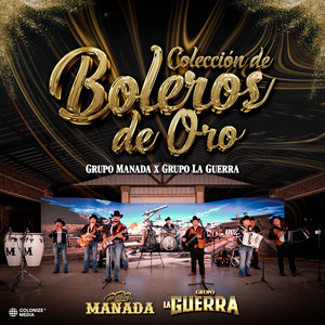 Colección de Boleros de Oro (En Vivo)