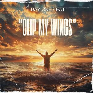 Clip My Wings