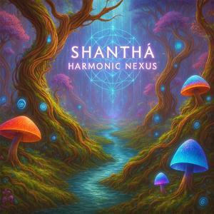 Harmonic Nexus