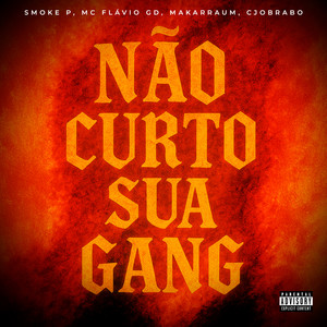 Não Curto Sua Gang