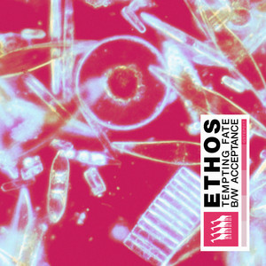 Tempting Fate (Original Mix)