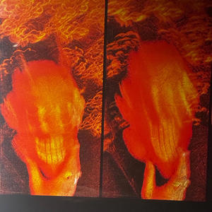 Fumseck - Slughorn (Explicit)