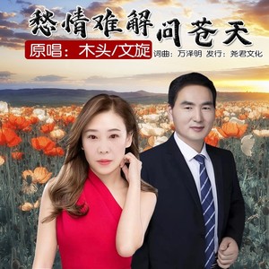 愁情难解问苍天