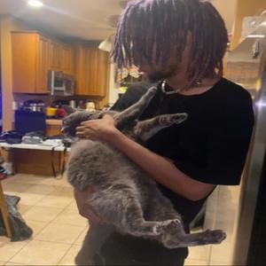 Damnn this real (feat. Octobersama) (Life Letters remix|Explicit)