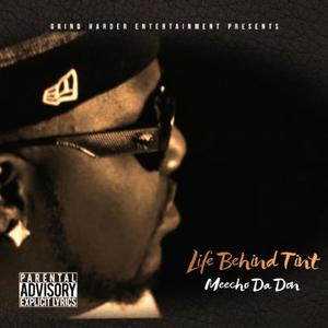 Life Behind Tint (Explicit)