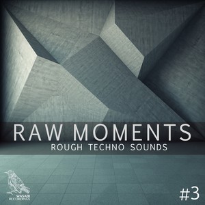 Raw Moments, Vol. 3 - Rough Techno Sounds (Explicit)