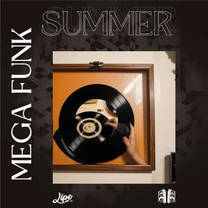 Mega Funk Summer