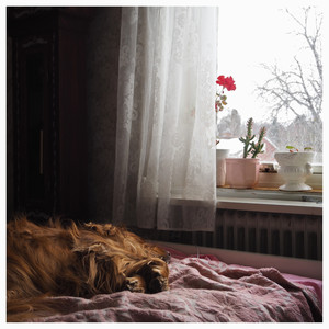 Still Life (D•LINGS Remix)