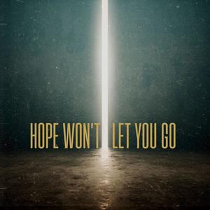 Hope Won't Let You Go (feat. Bryan Boliver)