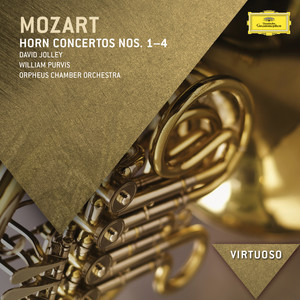 Horn Concerto No. 2 in E-Flat Major, K. 417 - Mozart: Horn Concerto No. 2 in E-Flat Major, K. 417: II. Andante