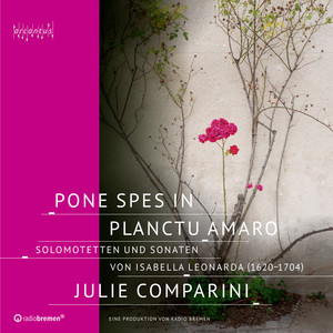 Motetti a voce sola, Op. 15 - No. 8, Pone spes in planctu amaro