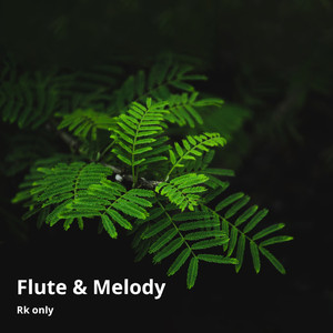 Flute & Melody