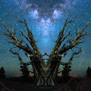 Rings of Life (No-Solo Version)