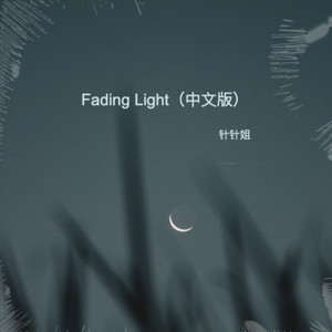 Fading Light-针针姐