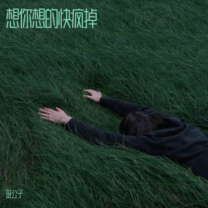 想你想的快疯掉 (伴奏)