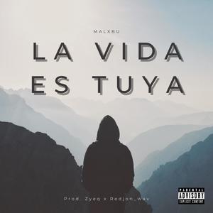 la vida es tuya (feat. Zyeq & Redjon_wav) (Explicit)