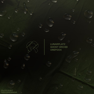 Tamarin (Jiho Remix)