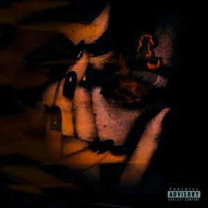 Bro TF (feat. nascarszn*) (Explicit)