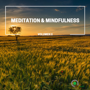 Meditation & Mindfulness, Vol. 2