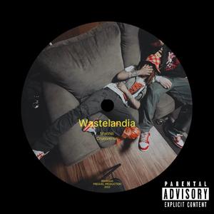 Wa$teland (feat. Cruniverse) (Explicit)