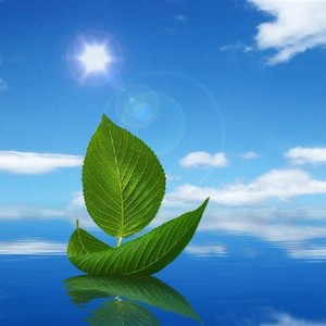 南宫煌琰 - 爱你不用解释 (大提琴版)