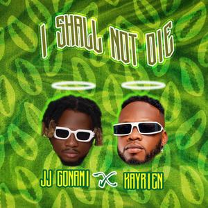 I Shall Not Die (feat. Kayrien)